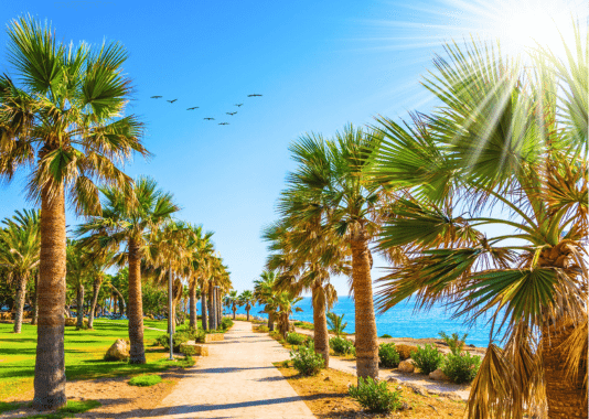 Chypre