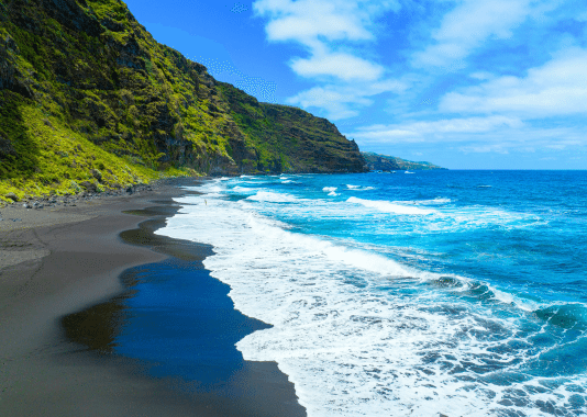 Les Canaries